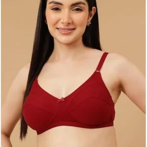 Silicone Artificial Breast Pads for Women | Bra Inserts & Enhancers